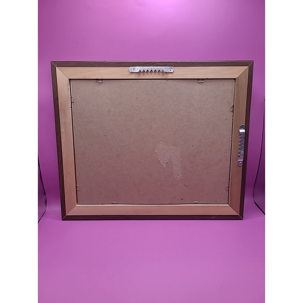 Signed Artwork: E. Halsey 1989 Transformation Framed Picture Cactus to Coyote - Picture 5 of 7